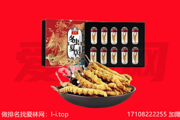 平顶山石龙区回收虫草.jpg